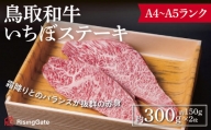 1562 鳥取和牛いちぼステーキ