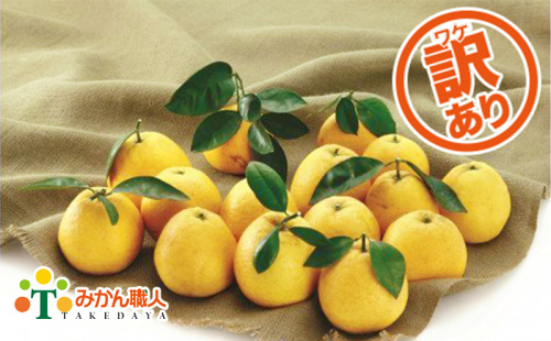 【訳あり】みかん職人の河内晩柑5kg 発送期間:発送期間:3月下旬~8月末(なくなり次第終了)
129150 - 愛媛県愛南町
