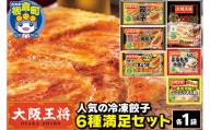 大阪王将 人気の冷凍餃子6種満足セット 計6パック90個  冷凍餃子
