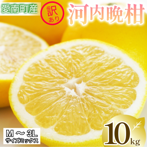 【 2026年 先行予約 】 訳あり 河内晩柑 10kg サイズミックス 家庭用 樹齢 20年 以上 古木 和製 グレープフルーツ 愛南ゴールド 直送 フルーツ 人気 柑橘 爽やか 甘み ジューシー 果汁 旬の果物 くだもの みかん サイズ不揃い 産地直送 農園直送 春 味覚 初夏 デザート ジュース おすすめ 生搾り デザート ゼリー 愛媛県 愛南町 清家ばんかんビレッジ 129221 - 愛媛県愛南町