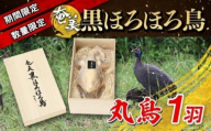 ★期間限定・数量限定★奄美 黒ほろほろ鳥 （丸鳥中抜き）