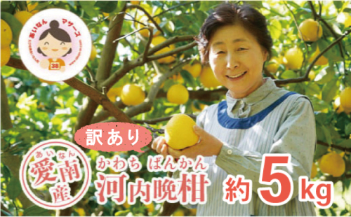 先行予約 訳あり 河内晩柑 5kg 7000円 みかん かわちばんかん わけあり ミカン mikan 愛南ゴールド あいなん ゴールド 家庭用 少量 お試し 文旦 グレープフルーツ 和製 家庭用 産地直送 国産 農家直送 期間限定 数量限定 ビタミン 特産品 ゼリー ジュース 人気 限定 さわやか 甘い フルーツ 果物 柑橘 蜜柑 規格外 あいなんマザーズ 愛南町 愛媛県 129236 - 愛媛県愛南町