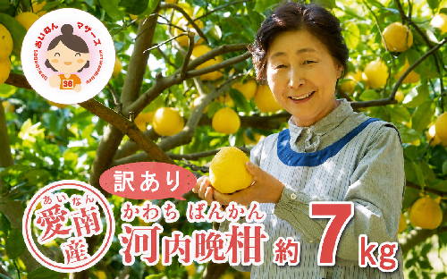 数量限定 先行予約 訳あり 河内晩柑 7kg 7000円 みかん わけあり かわちばんかん mikan 蜜柑 ミカン 愛南ゴールド あいなん ゴールド 文旦 派生 和製 グレープフルーツ 産地直送 国産 農家直送 期間限定 特産品 ゼリー ジュース アイス 等に 人気 限定 甘い さわやか フルーツ 果物 柑橘 規格外 あいなんマザーズ 愛南町 愛媛県 129236 - 愛媛県愛南町