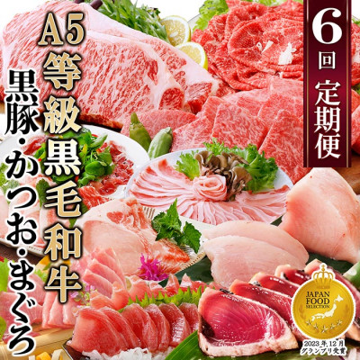 定期便(6回)A5等級黒毛和牛・黒豚・かつお・まぐろFF-0058【1166770】ふるさと納税 定期便 牛肉 豚肉 肉 お肉 サーロイン ステーキ 和牛 黒豚 カツオ タタキ マグロ 刺身 海鮮丼 焼肉 さつま揚げ すき焼き 生ハム ハンバーグ 人気 鹿児島県 枕崎市 1292462 - 鹿児島県枕崎市