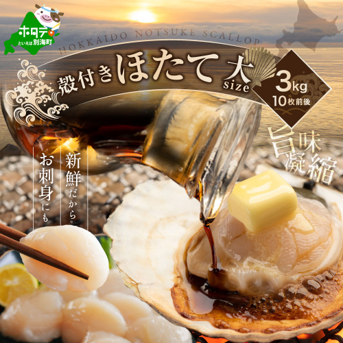 【先行予約】北海道野付産活ホタテ 3kg（10枚前後） 1292463 - 北海道別海町