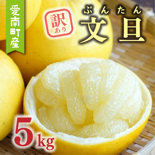 数量限定 先行予約 訳あり 文旦 5kg 7000円 わけあり ぶんたん みかん mikan 蜜柑 ミカン 産地直送 国産 農家直送 期間限定 特産品 ゼリー ジュース アイス 等に 人気 限定 甘い 果実 果肉 フルーツ 果物 柑橘 おいしい 美味しい ジューシー サイズ ミックス あいなんマザーズ 愛南町 愛媛県 129247 - 愛媛県愛南町