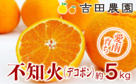 愛南育ち 吉田農園 不知火(デコポン) 約5kg 発送期間:2023年3月下旬〜4月中旬