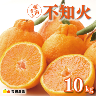 数量限定 先行予約 不知火 10kg 24000円 みかん しらぬい デコポン と 同品種 mikan 蜜柑 ミカン 産地直送 国産 農家直送 期間限定 特産品 ゼリー ジュース アイス 等に 人気 限定 甘い 果実 果肉 フルーツ 果物 柑橘 美味しい おいしい ジューシー 吉田農園 愛南町 愛媛県