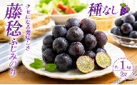 ぶどう 藤稔 ふじみのり 種なし 計約1kg 2房 フルーツ グレープ デザート 超大粒 あま〜い 甘い ジューシー ほどよい 酸味 バランス 果汁 たっぷり 世界最大級 コク 風味 深み 果肉 柔らか みずみずしい スイーツ フローズン 究極のぶどう こんなぶどう食べたことない 宮城県 岩沼産