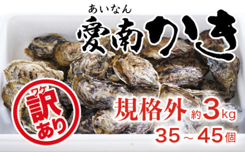 先行予約 訳あり 規格外 殻付き 愛南かき 3kg （35～45個） 10000円 わけあり 牡蠣 むき身 殻付 かき カキ オイスター 鍋 カキフライ ミルク ソテー クリームシチュー グラタン 牡蠣鍋 蒸し 酒蒸し オイル漬 塩辛 冷蔵 国産 産地直送 期間限定 数量限定 特産品 海鮮 魚介 養殖 人気 限定 愛南町 愛媛県 129270 - 愛媛県愛南町