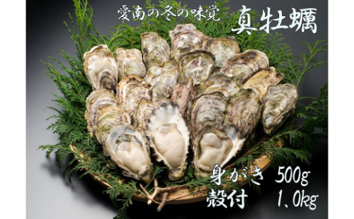 先行予約 愛南かき （ むき身 500g ・ 殻付 1kg ） 10000円 牡蠣 身がき むき身 殻付き かき カキ オイスター 鍋 カキフライ ミルク ソテー クリームシチュー グラタン 牡蠣鍋 蒸し 酒蒸し オイル漬 塩辛 冷蔵 国産 産地直送 期間限定 数量限定 特産品 海鮮 魚介 養殖 人気 限定 愛南町 愛媛県 129273 - 愛媛県愛南町