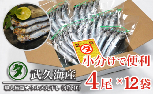 職人厳選 ウルメ丸干し小分け（4尾×12袋）鰯 いわし おつまみ  129284 - 愛媛県愛南町