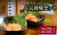 ケムリの人気珍味セット（小） 塩辛 鮭明太 各1個 詰合せ おつまみ 日本酒 いか 鮭 明太子 海鮮