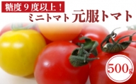 赤崎元服トマト フルーツトマト 500g 野菜 ミニトマト