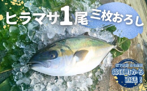 No.2098-1 ふる里館 ヒラマサ1尾セット（三枚おろし） 1293256 - 鹿児島県錦江町