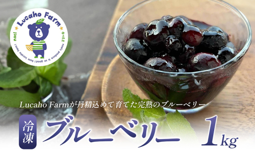 「Lucaho Farm」の冷凍ブルーベリー１kg 1293280 - 香川県東かがわ市