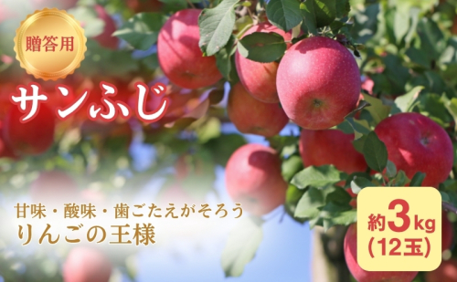 りんご 長野 贈答用 リンゴ サンふじ 約3kg （12玉） 産地直送 ギフト プレゼント 贈答 贈答品 贈り物 フルーツ 果物 デザート サンフジ 秋 旬 信州 長野県 長野県産 1293335 - 長野県駒ヶ根市