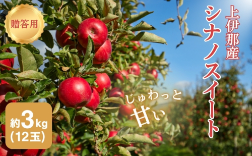 りんご 長野 贈答用 リンゴ シナノスイート 約3kg （12玉） 産地直送 ギフト プレゼント 贈答 贈答品 贈り物 フルーツ 果物 デザート 林檎 秋 旬 信州 長野県 長野県産 1293336 - 長野県駒ヶ根市