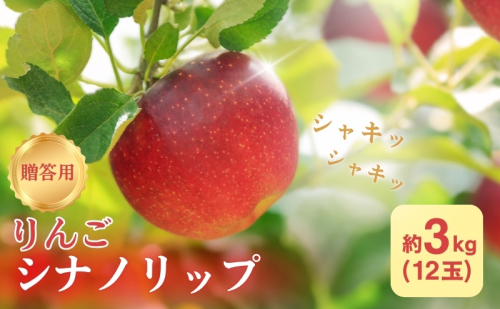 りんご 長野 贈答用 リンゴ シナノリップ 約3kg （12玉） 産地直送 ギフト プレゼント 贈答 贈答品 贈り物 フルーツ 果物 デザート おやつ 林檎 旬 信州 長野県 長野県産 1293337 - 長野県駒ヶ根市