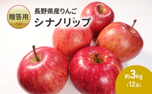 【贈答用】長野県産りんご「シナノリップ」　約3kg（12玉） 1293337 - 長野県駒ヶ根市