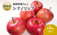 【贈答用】長野県産りんご「シナノリップ」　約3kg（12玉）