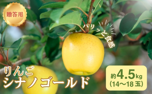 りんご 長野 贈答用 リンゴ シナノゴールド 約4.5kg（14玉?18玉） 産地直送 ギフト プレゼント 贈答 贈答品 贈り物 フルーツ 果物 デザート おやつ 秋 旬 信州 長野県 1293342 - 長野県駒ヶ根市
