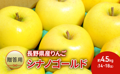 りんご 先行予約 長野 贈答用 リンゴ シナノゴールド 約4.5kg（14玉～18玉） 産地直送 ギフト プレゼント 贈答 贈答品 贈り物 フルーツ 果物 デザート おやつ 秋 旬 信州 長野県 2024 2024年 予約 令和6年度発送 1293342 - 長野県駒ヶ根市