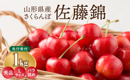 《先行受付》さくらんぼ 佐藤錦 1kg 秀品 Lサイズ バラ詰め【2026年6月中旬頃～発送予定】【山形県産さくらんぼ】 【001-070】 1293348 - 山形県大江町