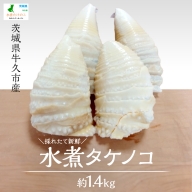 水煮タケノコ 約1.9kg タケノコ 筍 たけのこ 水煮 パックつめ 国産 たけのこご飯 野菜 煮物 炊き込みご飯 料理 旬 期間限定