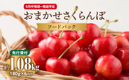 《先行受付》おまかせさくらんぼ フードパック 約1.08kg (180g×6)【2026年6月中旬頃～発送予定】【山形県産さくらんぼ】 【001-088】 1293383 - 山形県大江町