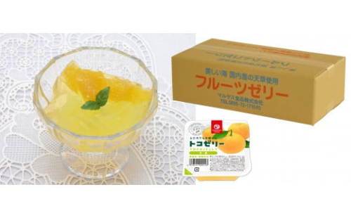 トコゼリー甘夏 24個入り マルヤス食品 129356 - 愛媛県愛南町