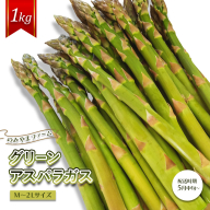 【先行受付】のみやまファームのグリーンアスパラガス（Ｍ～２L以上）1kg【05004】