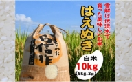 人気のブランド米　はえぬき　白米　10kg（令和5年山形県飯豊町産）
