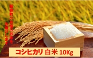 こだわりのお米　コシヒカリ　白米　10kg（令和5年飯豊町産）