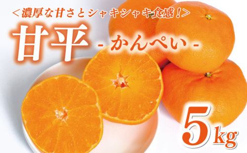 甘平5kg 129394 - 愛媛県愛南町