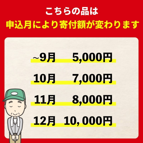 訳あり 愛媛みかん 約5kg 光センサー選果 柑橘 果物 国産 フルーツ