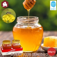日本蜜蜂 100% 純粋 はちみつ 非加熱 240g×2 希少 国産 蜂蜜 ハチミツ