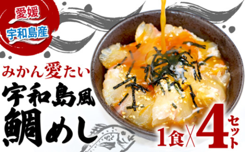 海鮮丼 鯛 鯛めし 4食 宇和島風 鯛 南予ビージョイ 10営業日以内発送 生鯛めし 真鯛 鯛 マダイ タイ tai 刺身 お刺身 刺し身 漬け丼 漬け 漬丼 丼 丼ぶり 海鮮丼 郷土料理 鯛飯 海鮮 人気 海の幸 魚介 人気加工品 冷凍 小分け パック お手軽 便利 産地直送 国産 愛媛 宇和島 D010-150004
