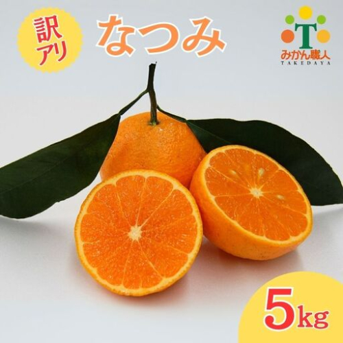 【先行予約】訳あり みかん職人の なつみ 5kg フルーツ 果物 みかん職人 果物 オレンジ フルーツ 柑橘 みかん 愛媛県 愛南町 みかん職人武田屋  129418 - 愛媛県愛南町