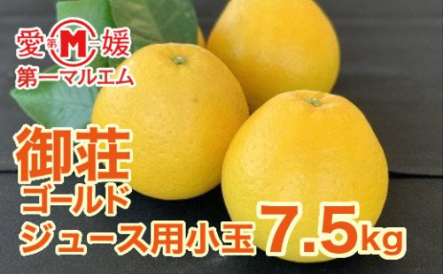 第一マルエムの御荘ゴールド（愛南産の河内晩柑）　ジュース用小玉7.5kg (なくなり次第終了) 129420 - 愛媛県愛南町