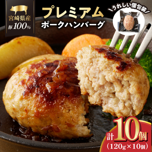 宮崎県産豚プレミアムハンバーグ(計10個) 肉 豚肉 加工品 惣菜 国産_T001-0101 1294348 - 宮崎県都農町