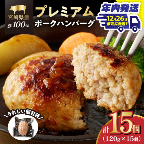 ＼年内発送!!／宮崎県産豚プレミアムハンバーグ(計15個) 肉 豚肉 加工品 惣菜 国産_T001-0111-N 1294349 - 宮崎県都農町