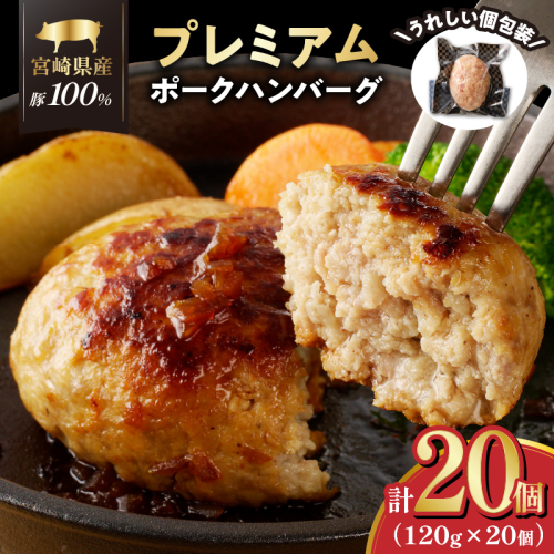 宮崎県産豚プレミアムハンバーグ(計20個) 肉 豚肉 加工品 惣菜 国産_T001-0121 1294350 - 宮崎県都農町