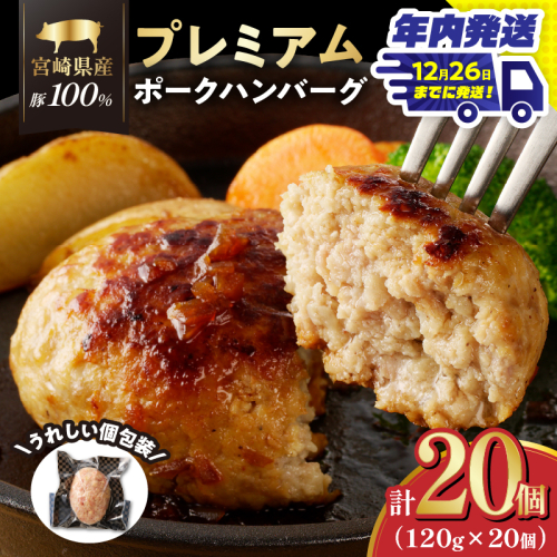 ＼年内発送!!／宮崎県産豚プレミアムハンバーグ(計20個) 肉 豚肉 加工品 惣菜 国産_T001-0121-N 1294350 - 宮崎県都農町