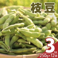 ≪期間限定≫枝豆(茶豆風味・茶豆)3kg 野菜 旬 国産_T003-006