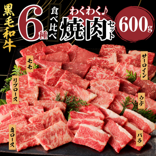 生産者応援≪訳あり≫黒毛和牛(経産牛)6種焼肉セット(合計600g) 肉 牛 牛肉 おかず 国産_T030-1203 1294422 - 宮崎県都農町