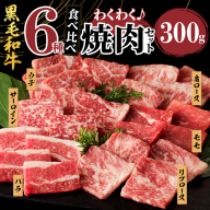 生産者応援≪訳あり≫黒毛和牛(経産牛)6種焼肉セット(合計300g) 肉 牛 牛肉 おかず 国産_T030-1193