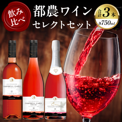 都農ワインセレクトセット(合計3本) 酒 飲料 アルコール 国産_T014-001 1294431 - 宮崎県都農町