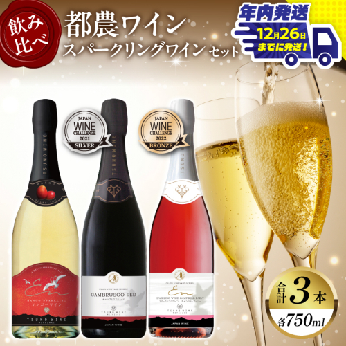 ＼年内発送!!／スパークリングワイン飲み比べ3本セット 酒 飲料 アルコール 国産_T014-003-N 1294442 - 宮崎県都農町