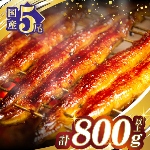 うなぎ蒲焼5尾(さんしょう・たれ付き)計800g以上 鰻 魚 魚介 加工品 国産_T026-0031 1294451 - 宮崎県都農町